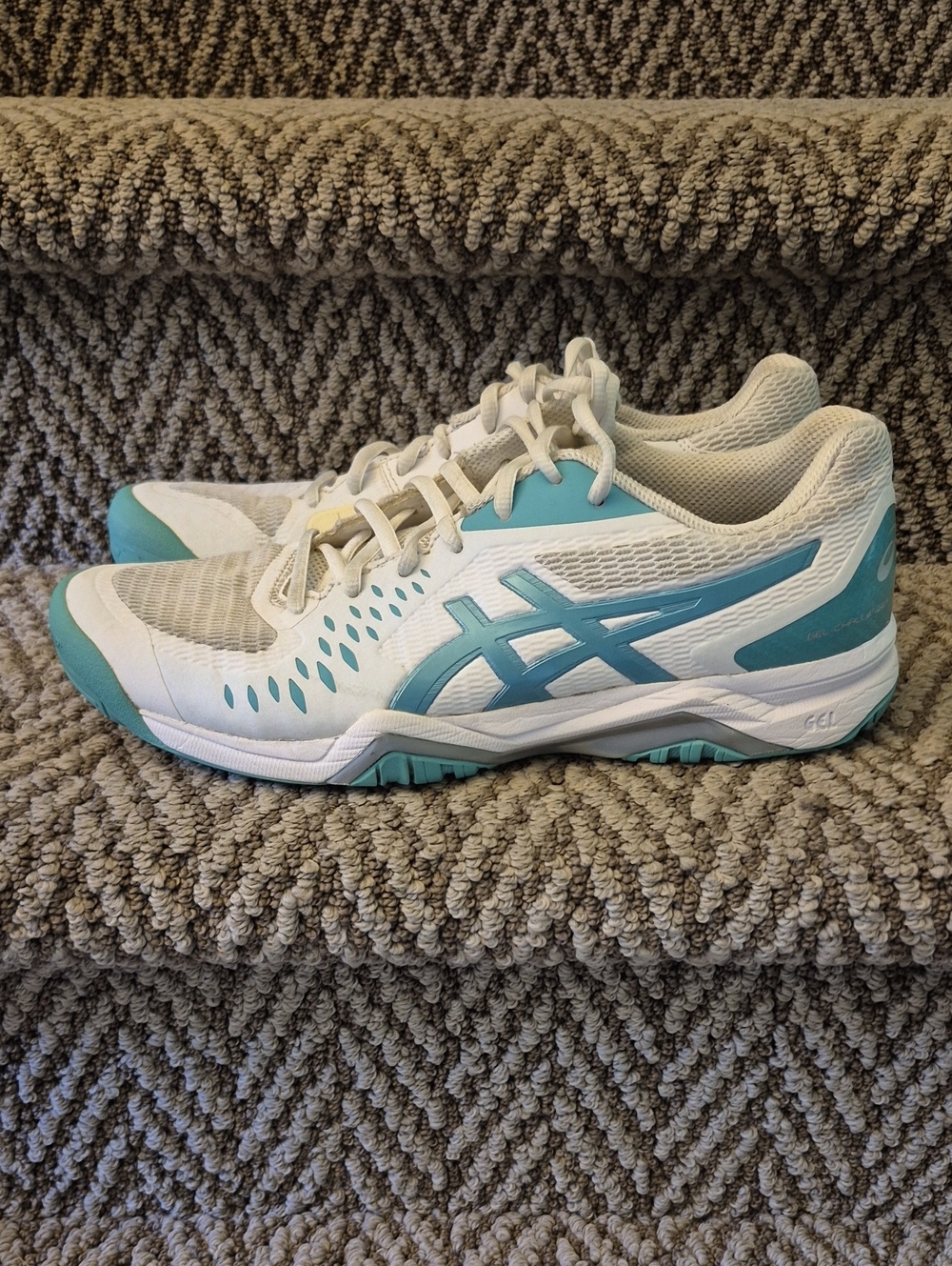 ASICS Gel-Challenger Court Shoes